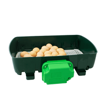 Lade das Bild in den Galerie-Viewer, River ET 24 Brutmaschine mit automatischer Wendung