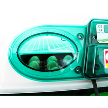 Lade das Bild in den Galerie-Viewer, River ET 24 Brutmaschine mit automatischer Wendung