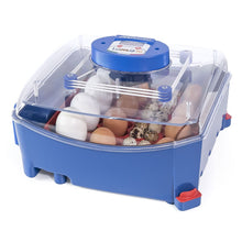 Lade das Bild in den Galerie-Viewer, Borotto Lumia 16 Brutmaschine