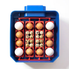 Lade das Bild in den Galerie-Viewer, Borotto Lumia 16 Brutmaschine