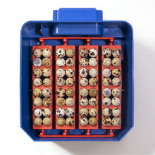 Lade das Bild in den Galerie-Viewer, Borotto Lumia 16 Brutmaschine