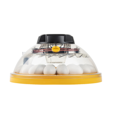 Lade das Bild in den Galerie-Viewer, Brinsea Maxi 24 EX Brutmaschine mit automatischer Feuchtigkeitsregulierung