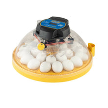 Lade das Bild in den Galerie-Viewer, Brinsea Maxi 24 Advance Brutmaschine mit automatischer Wendung