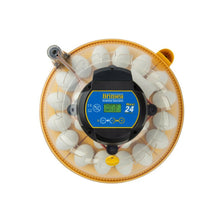 Lade das Bild in den Galerie-Viewer, Brinsea Maxi 24 Advance Brutmaschine mit automatischer Wendung