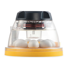 Lade das Bild in den Galerie-Viewer, Brinsea Mini 2 Advance Brutmaschine