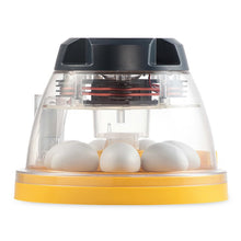 Lade das Bild in den Galerie-Viewer, Brinsea Mini 2 EX Brutmaschine mit automatischer Feuchtigkeitsregulierung