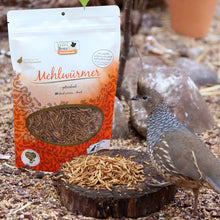 Lade das Bild in den Galerie-Viewer, Mehlwürmer für Geflügel 150G PoultryGold®