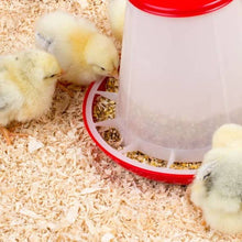 Lade das Bild in den Galerie-Viewer, Futtertrog für Küken 1kg in Rot von Olba